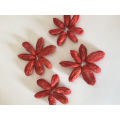 Sol Secado Goji Berry (Wolfberry)